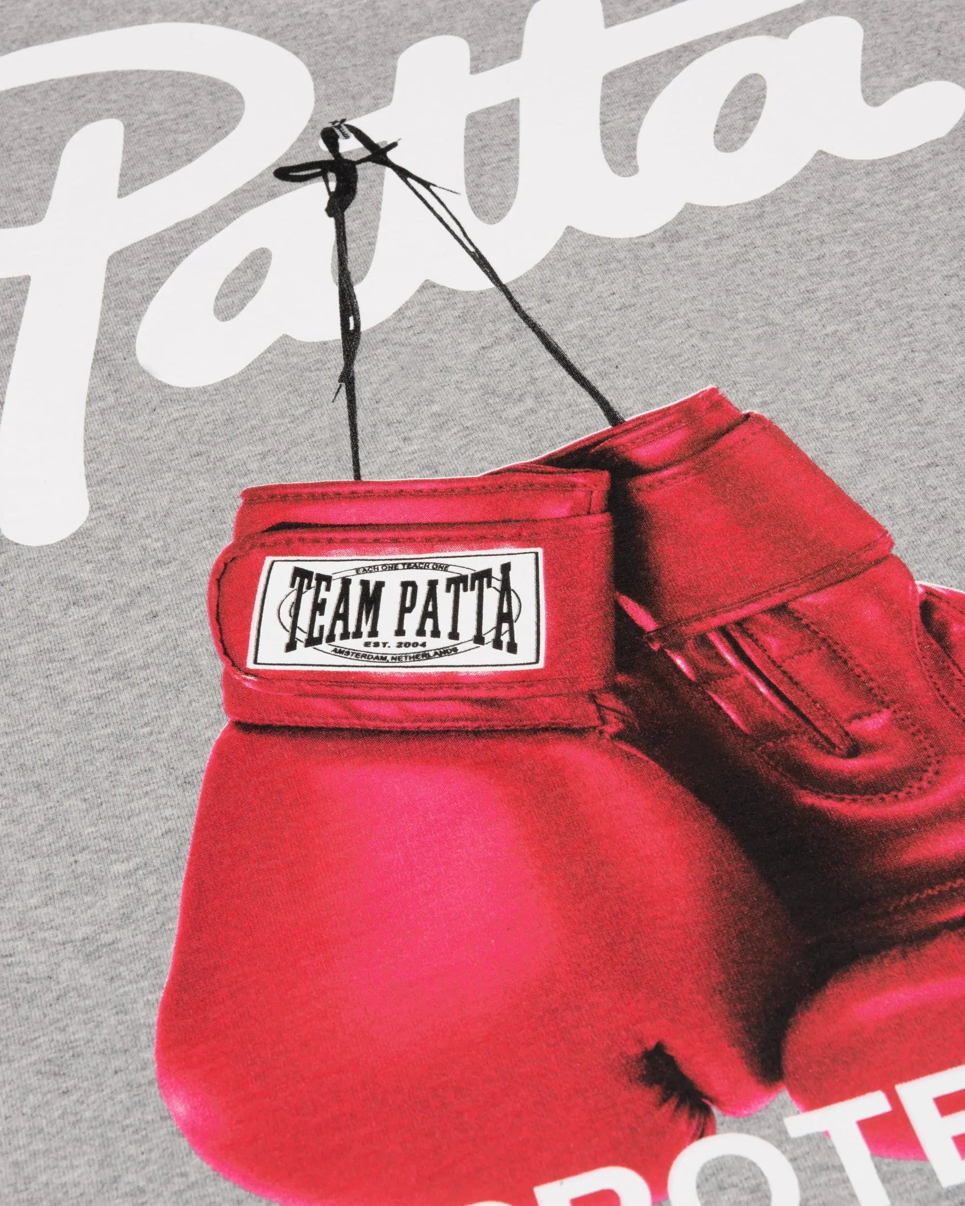 Patta Protect Yourself T-Shirt (Melange Grey)